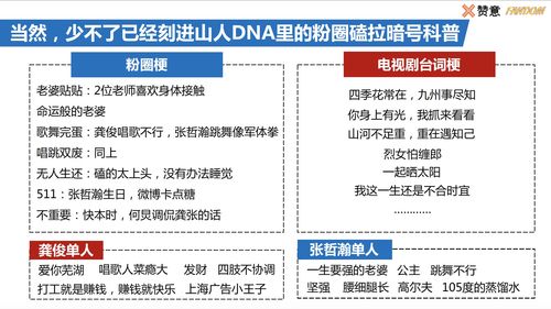 浪浪钉 世界里的品牌新玩法 cp圈层营销